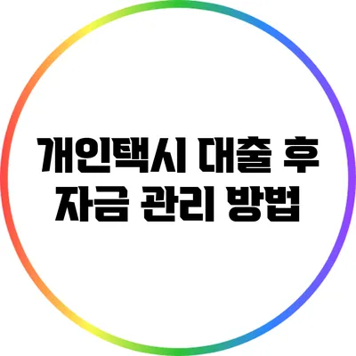 개인택시 대출 후 자금 관리 방법