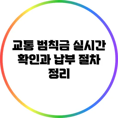 교통 범칙금 실시간 확인과 납부 절차 정리