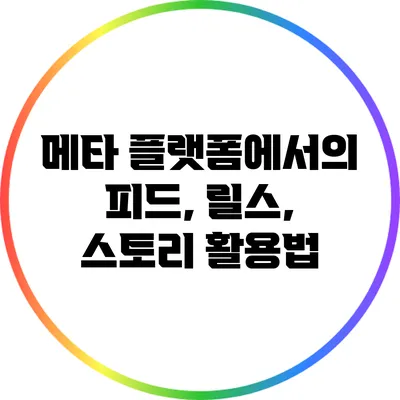 메타 플랫폼에서의 피드, 릴스, 스토리 활용법
