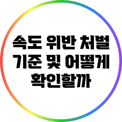 속도 위반 처벌 기준 및 어떻게 확인할까?
