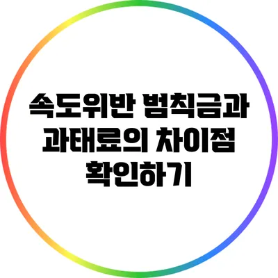 속도위반 범칙금과 과태료의 차이점 확인하기