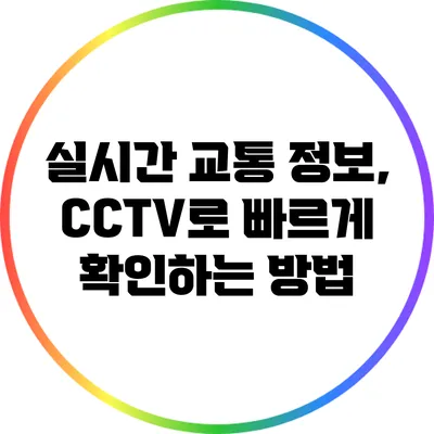 실시간 교통 정보, CCTV로 빠르게 확인하는 방법