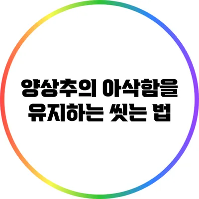 양상추의 아삭함을 유지하는 씻는 법