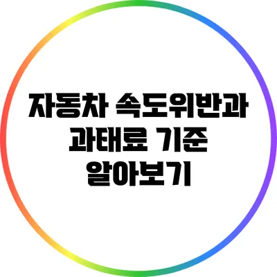 자동차 속도위반과 과태료 기준 알아보기