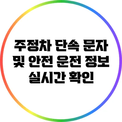 주정차 단속 문자 및 안전 운전 정보 실시간 확인