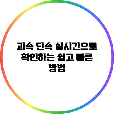 과속 단속 실시간으로 확인하는 쉽고 빠른 방법