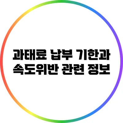 과태료 납부 기한과 속도위반 관련 정보
