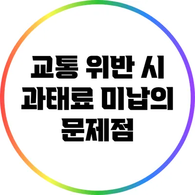 교통 위반 시 과태료 미납의 문제점