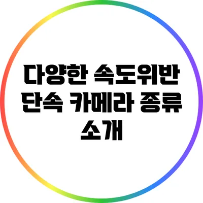 다양한 속도위반 단속 카메라 종류 소개