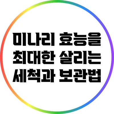 미나리 효능을 최대한 살리는 세척과 보관법
