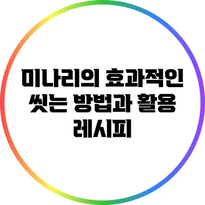 미나리의 효과적인 씻는 방법과 활용 레시피