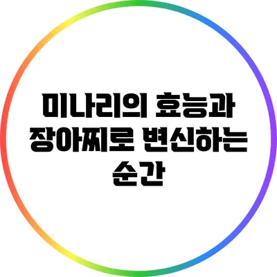 미나리의 효능과 장아찌로 변신하는 순간