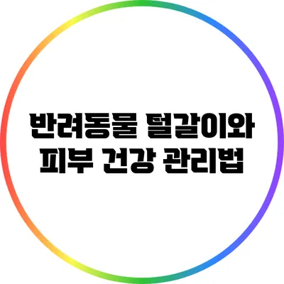 반려동물 털갈이와 피부 건강 관리법
