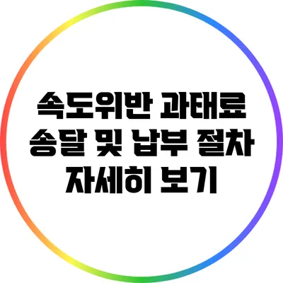 속도위반 과태료 송달 및 납부 절차 자세히 보기