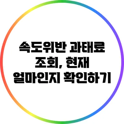 속도위반 과태료 조회, 현재 얼마인지 확인하기