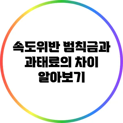 속도위반 범칙금과 과태료의 차이 알아보기