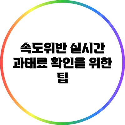속도위반 실시간 과태료 확인을 위한 팁