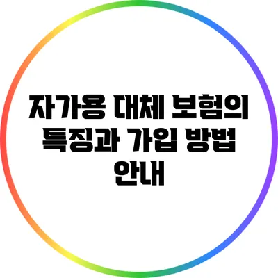 자가용 대체 보험의 특징과 가입 방법 안내