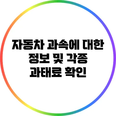 자동차 과속에 대한 정보 및 각종 과태료 확인