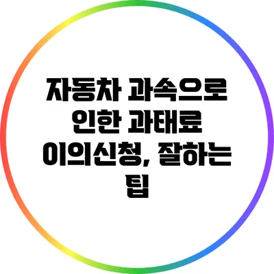자동차 과속으로 인한 과태료 이의신청, 잘하는 팁