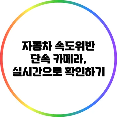 자동차 속도위반 단속 카메라, 실시간으로 확인하기