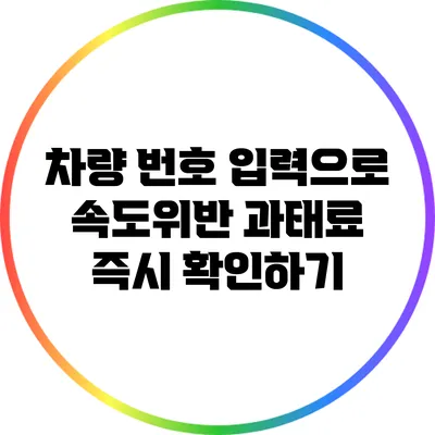 차량 번호 입력으로 속도위반 과태료 즉시 확인하기