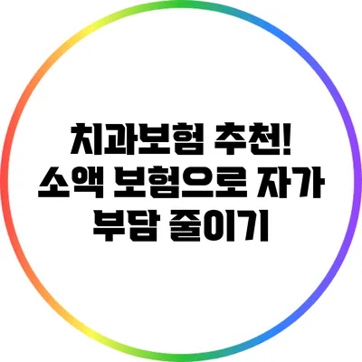 치과보험 추천! 소액 보험으로 자가 부담 줄이기