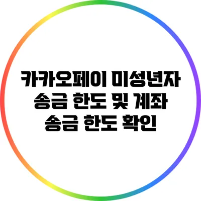 카카오페이 미성년자 송금 한도 및 계좌 송금 한도 확인