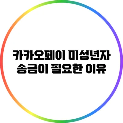 카카오페이 미성년자 송금이 필요한 이유