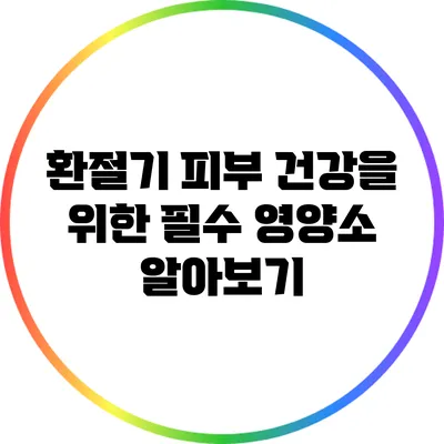 환절기 피부 건강을 위한 필수 영양소 알아보기