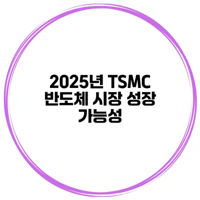 2025년 TSMC 반도체 시장 성장 가능성