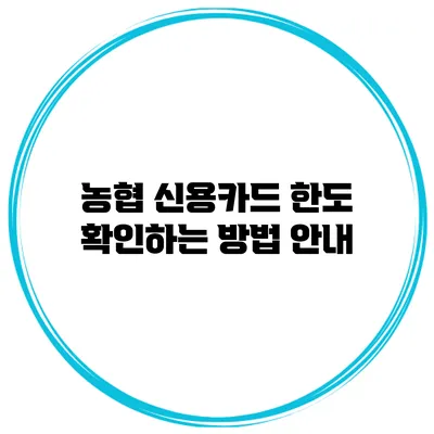 농협 신용카드 한도 확인하는 방법 안내