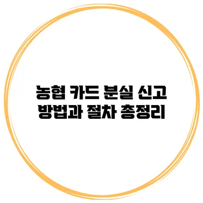 농협 카드 분실 신고 방법과 절차 총정리