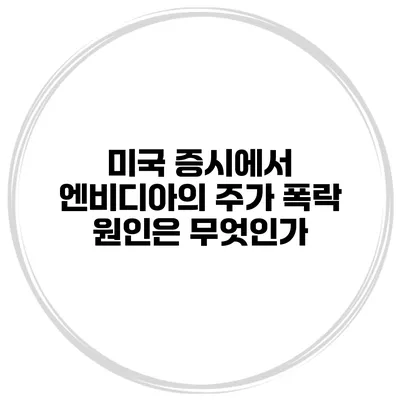 미국 증시에서 엔비디아의 주가 폭락 원인은 무엇인가?