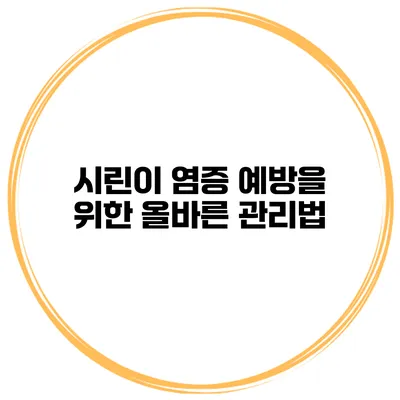 시린이 염증 예방을 위한 올바른 관리법