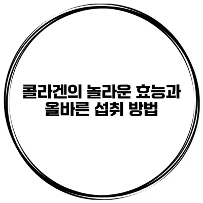 콜라겐의 놀라운 효능과 올바른 섭취 방법