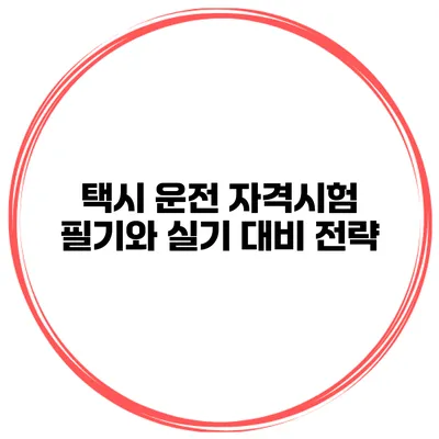 택시 운전 자격시험 필기와 실기 대비 전략