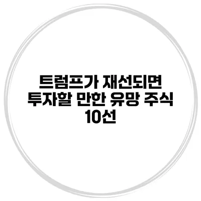 트럼프가 재선되면 투자할 만한 유망 주식 10선