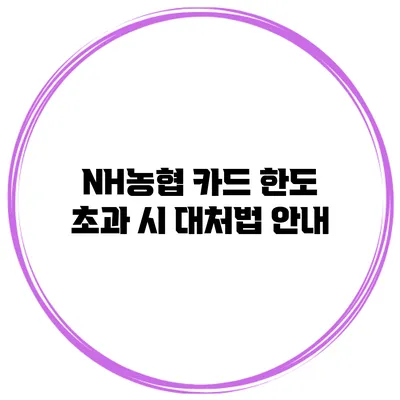NH농협 카드 한도 초과 시 대처법 안내