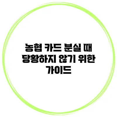 농협 카드 분실 때 당황하지 않기 위한 가이드