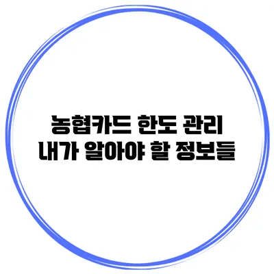 농협카드 한도 관리 내가 알아야 할 정보들