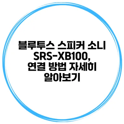 블루투스 스피커 소니 SRS-XB100, 연결 방법 자세히 알아보기