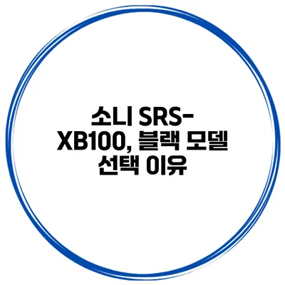 소니 SRS-XB100, 블랙 모델 선택 이유