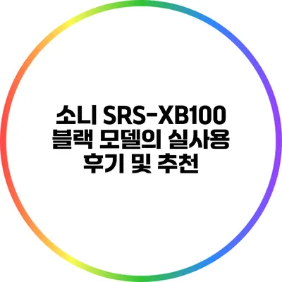 소니 SRS-XB100 블랙 모델의 실사용 후기 및 추천