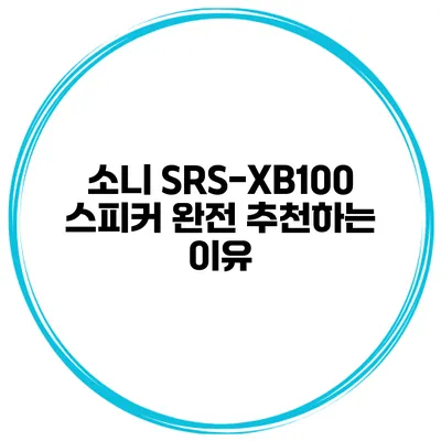 소니 SRS-XB100 스피커 완전 추천하는 이유