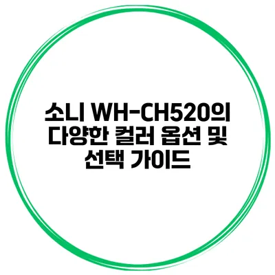 소니 WH-CH520의 다양한 컬러 옵션 및 선택 가이드