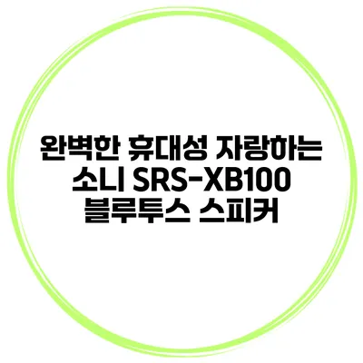 완벽한 휴대성 자랑하는 소니 SRS-XB100 블루투스 스피커